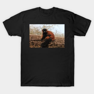 Lemur Laughter T-Shirt